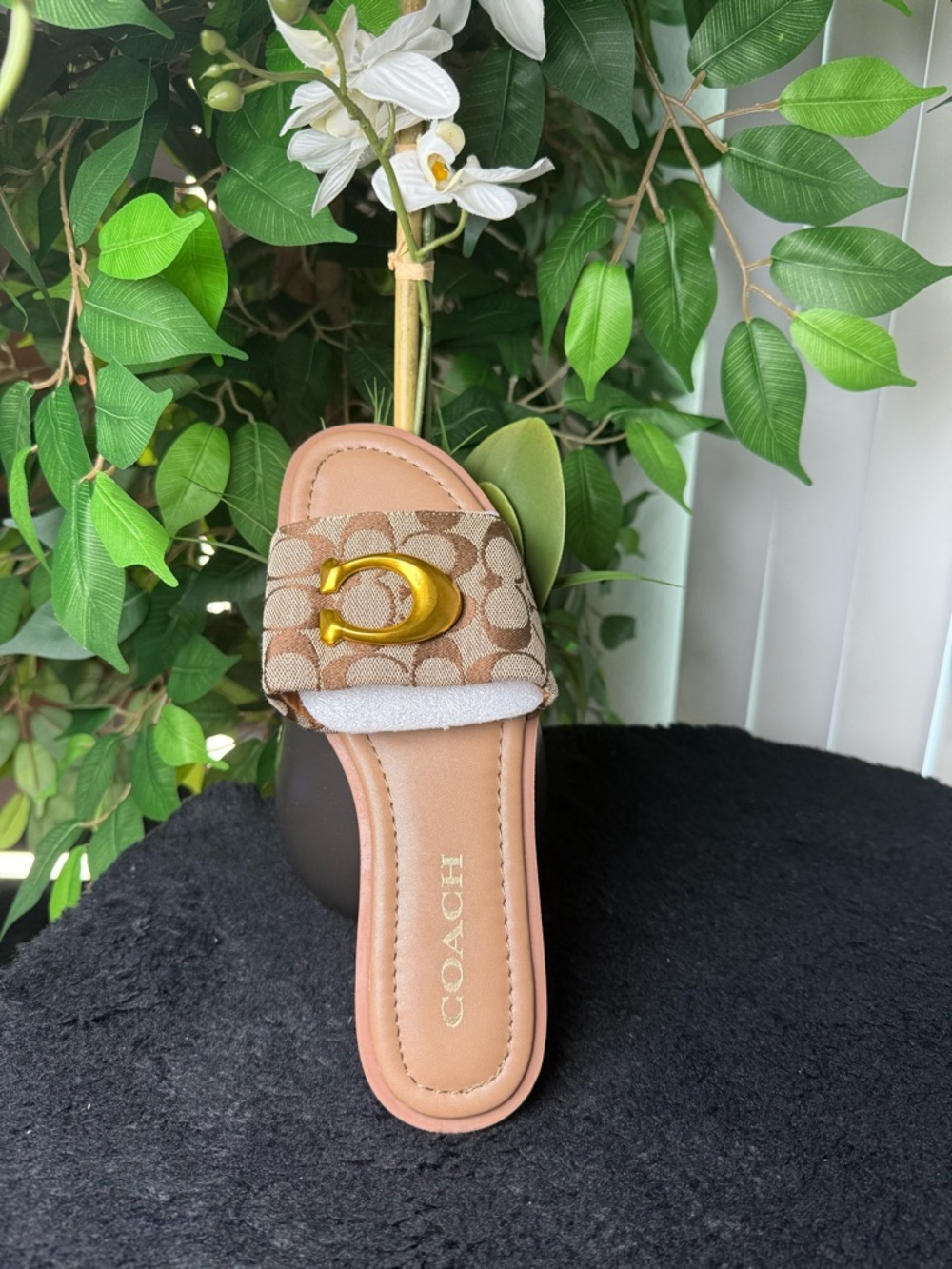 Women's Khaki Signature Slide Sandal with Gold Accent